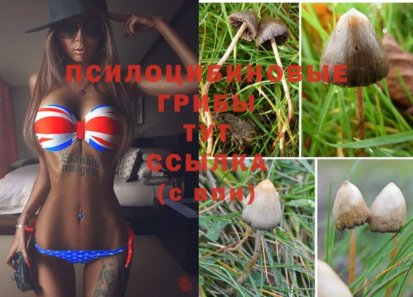 синтетический гашиш Баксан